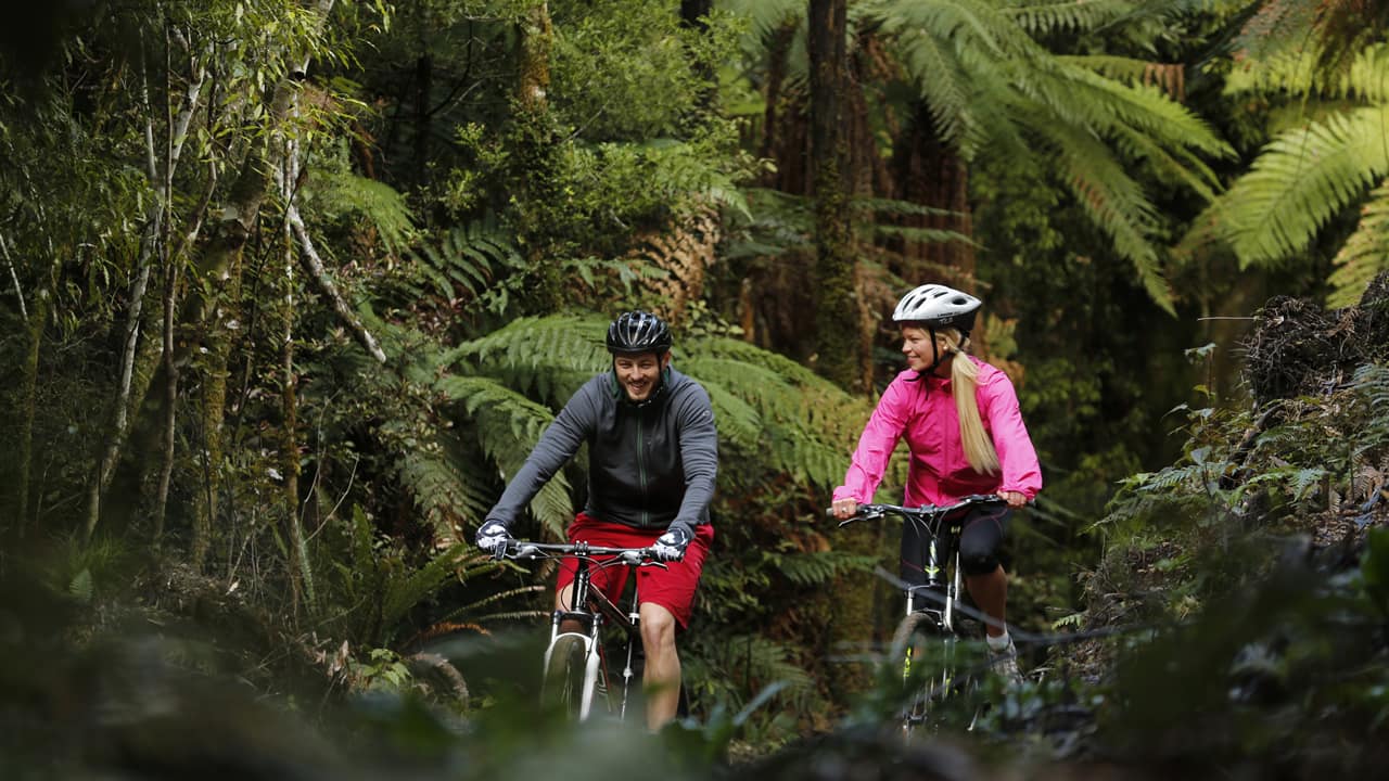 Great Lake Treail, Taupo